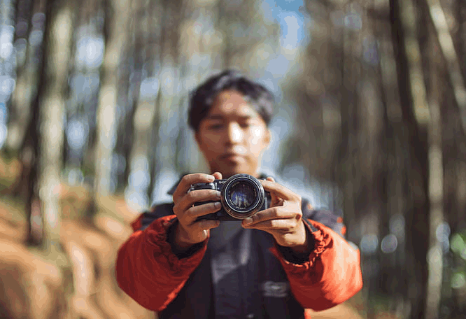 九型側翼3w4：具有第四型翼型的第三型人：“專家”