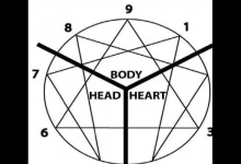 二號助人型的優勢和局限