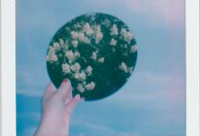 3號銷售經(jīng)