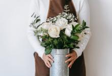 ?5號的思維方式：探究事物本質(zhì)