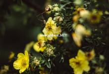 ?6號的思錐方式：逆向思維