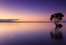 ?9號(hào)的要求是什么