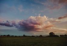 核心價值觀： 和諧才是王道