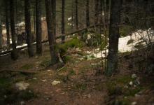 與九型配偶的相處技巧----4號