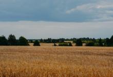 與九型配偶的相處技巧----8號