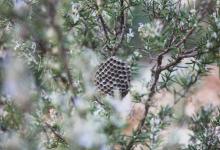 【與九型人的交談技巧】與 6?號的交談技巧