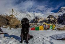 【與九型人的交談技巧】與 8?號的交談技巧