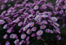 【與他人溝通時(shí)的注意要點(diǎn)】6號