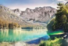 九型人格促進有效溝通