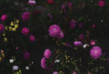 【與他人溝通時(shí)的注意要點(diǎn)】9號