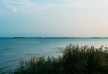 【九型人格孩子的性格特征】（下篇）