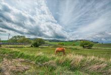 【九型人格孩子的性格特征】（上篇）