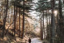 8?號領袖型孩子的培育要點