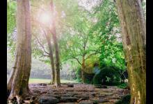 7?號享樂型孩子的培育要點