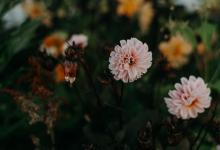 每個人都有獨特的成功密碼