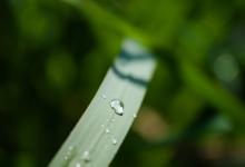 學會控制人性的弱點