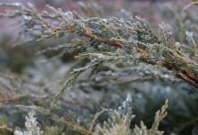 4號與他人相處之道