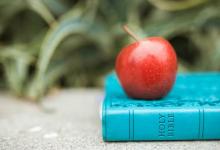 【8號育兒】8 號孩子全面分析