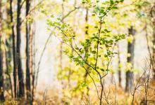 第三章3號性格一一實干者