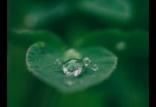 九型人格體系6號側(cè)翼