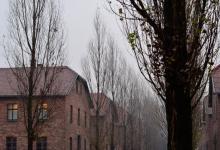 第二型：助人型適合哪種工作？