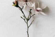 9號性格者需要避免的做法