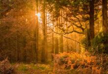 職場戀愛之七號活躍型避免痛苦