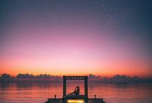 七號享樂者的基本描述