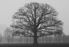 著名的七號性格者