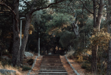 九型人格之7號活躍型（享樂主義者）的注意力焦