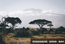 六號懷疑論者練習預演和回顧