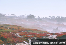 6號懷疑論者如何與人相處