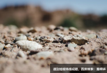 懷疑論者的檔案