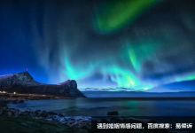 信任導(dǎo)向超脫疑慮-忠誠型（下）