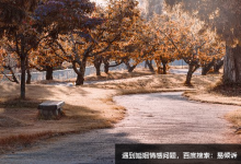 九型人格--六號疑惑型遇危機而鎮定