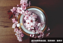 九型人格之6號——中國憤青的由來已久