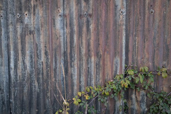 八號領袖型性格解讀