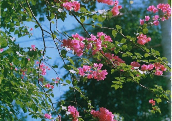 1-7-2：完美型、活躍型、助人型