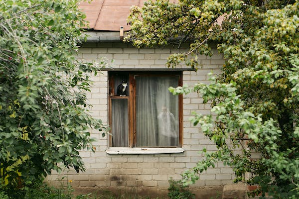 3-6-7：成就型、忠誠型、活躍型