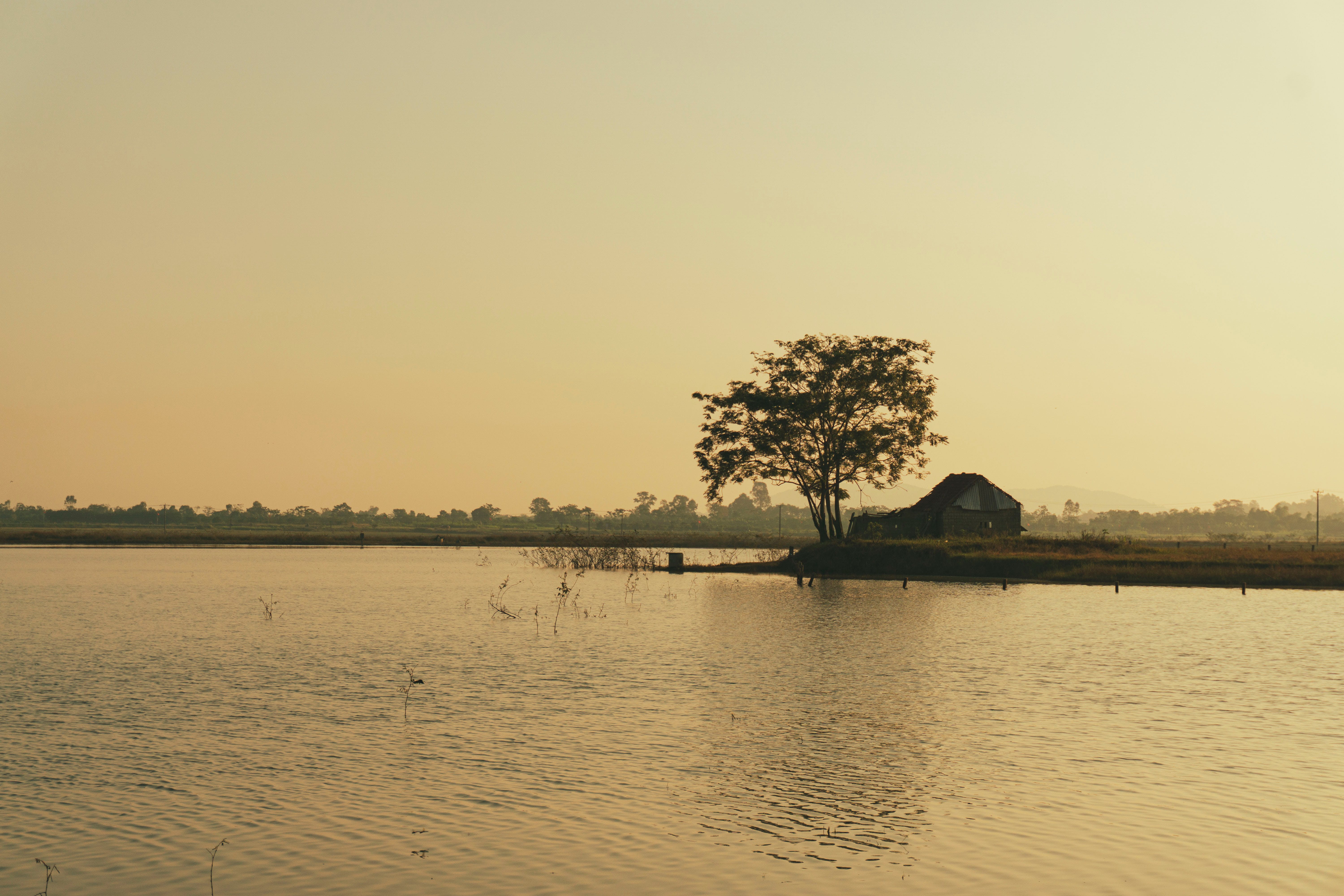 intp的人為什么那么少