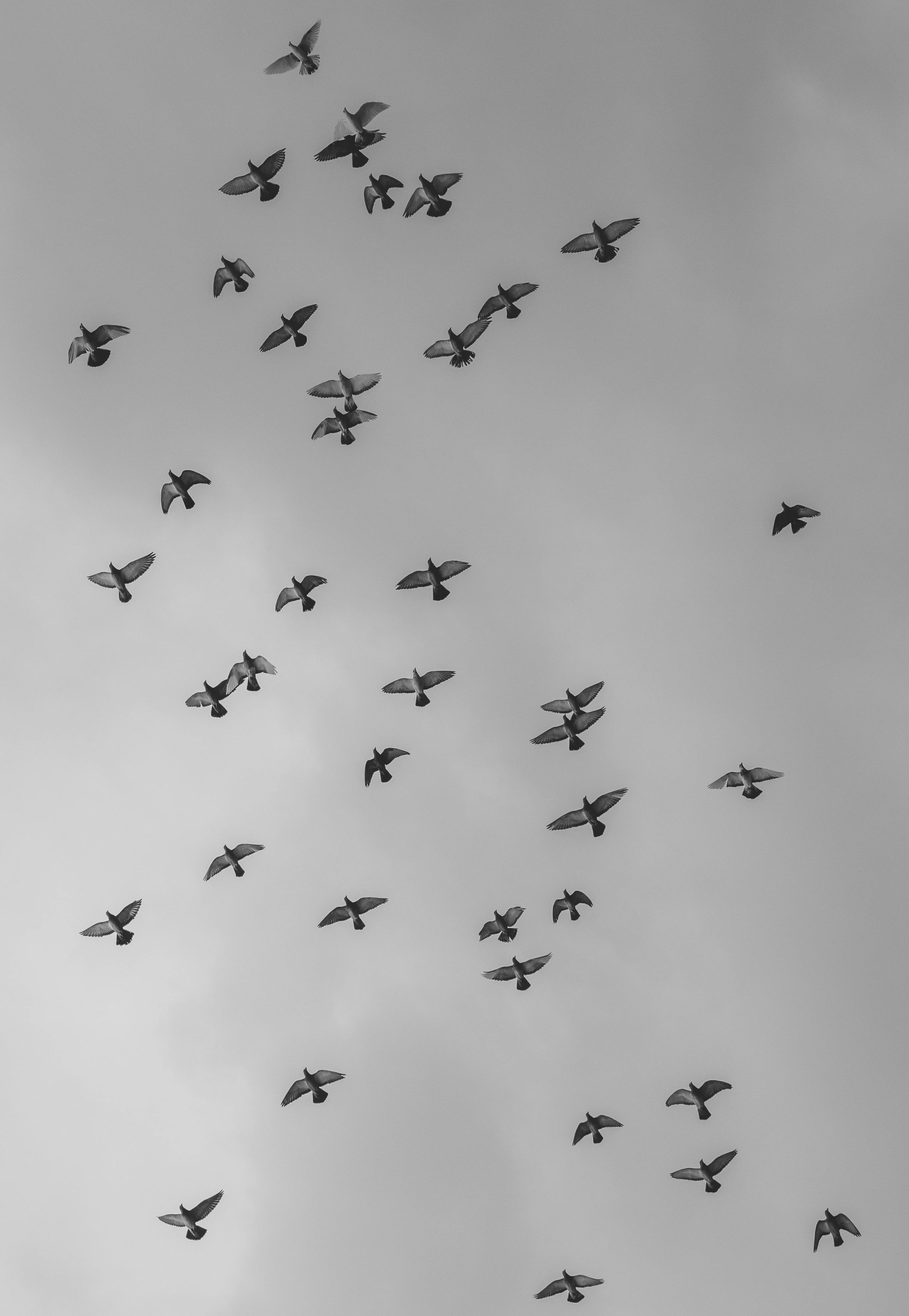 調停者難得的人才