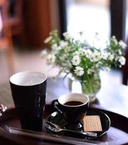 ENTJ 的生肖指南：解鎖你的天命伴侶與事業(yè)密碼