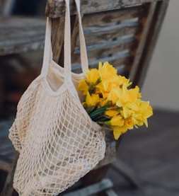 ISTP的星座特質(zhì)與職業(yè)選擇關系大揭秘！