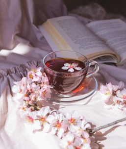 INFJ vs ENFJ：兩大'教育家'人格的致命差異