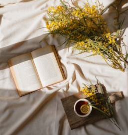 如何支持九型人格4號？了解他們的需求與期望！