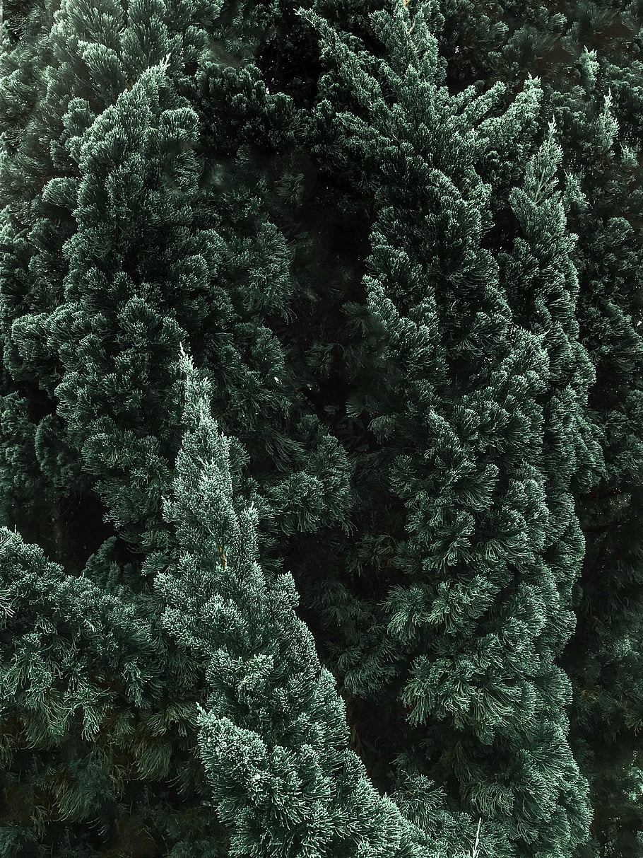 探秘九型人格：3號成就者的成功密碼與內(nèi)心世界！